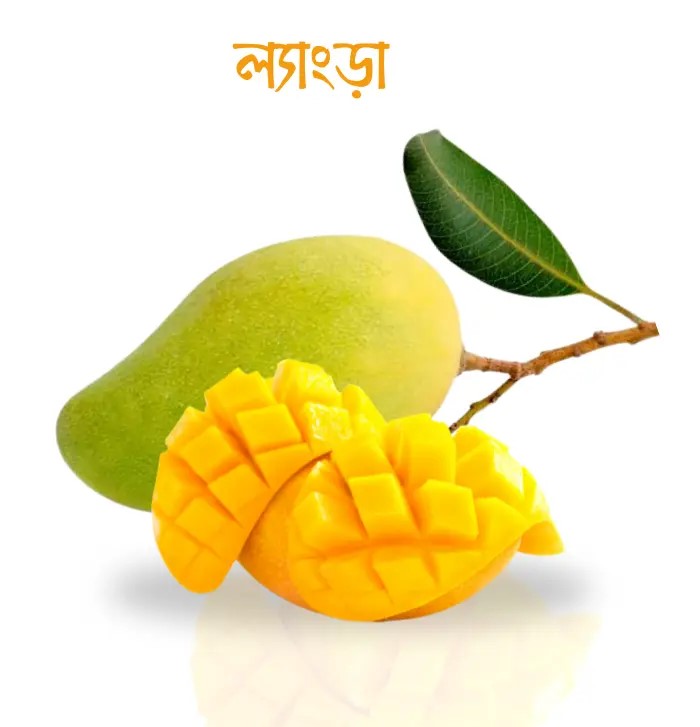 ল্যাংড়া  আম 